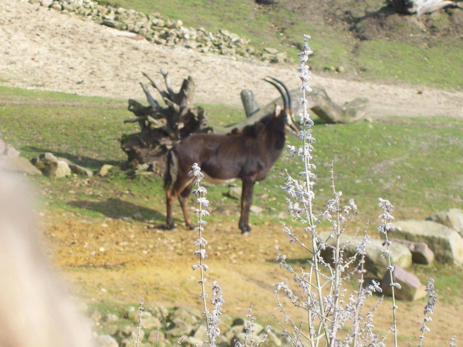 Zoom 18.10.2008-074.jpg
